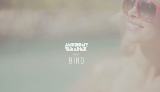 anthony-valadez-bird-good-lookin-screenshot