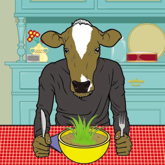 all-cows-eat-grass-kool-collection-03
