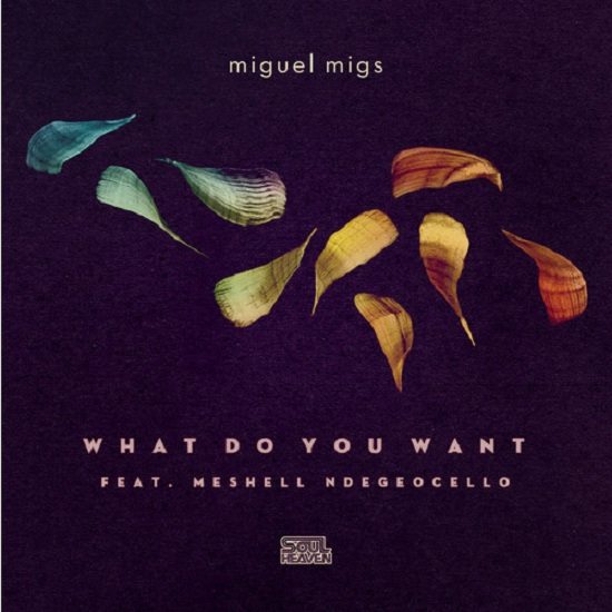 Miguel Migs What Do You Want Cover