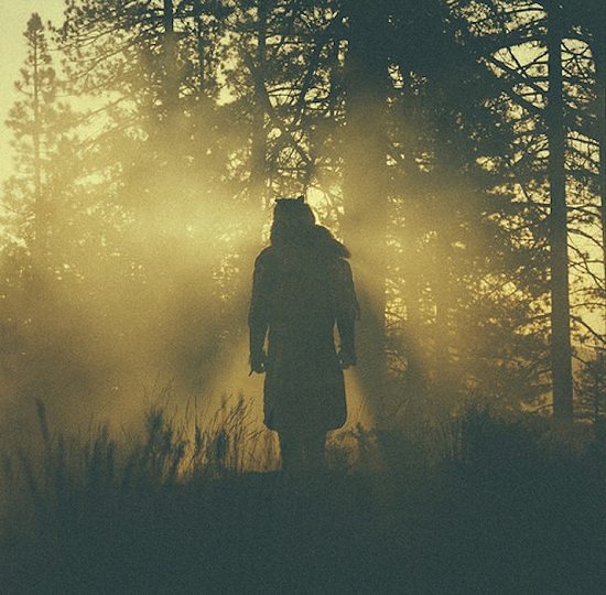 Thundercat-Woods-Silhouette