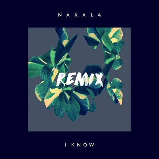 nakala-i-know-remix-cover