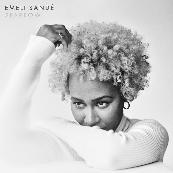 Emeli Sandé - Next To Me (Lyric Video) 