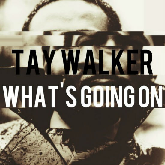 Like Marvin Gaye, Tay Walker Wants To Know 'What's Going On' SoulBounce